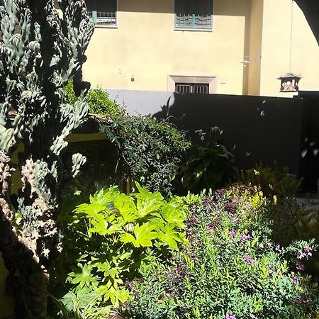 Loquat House Nel Giardino Segreto In Zona Vaticano Ρώμη Εξωτερικό φωτογραφία