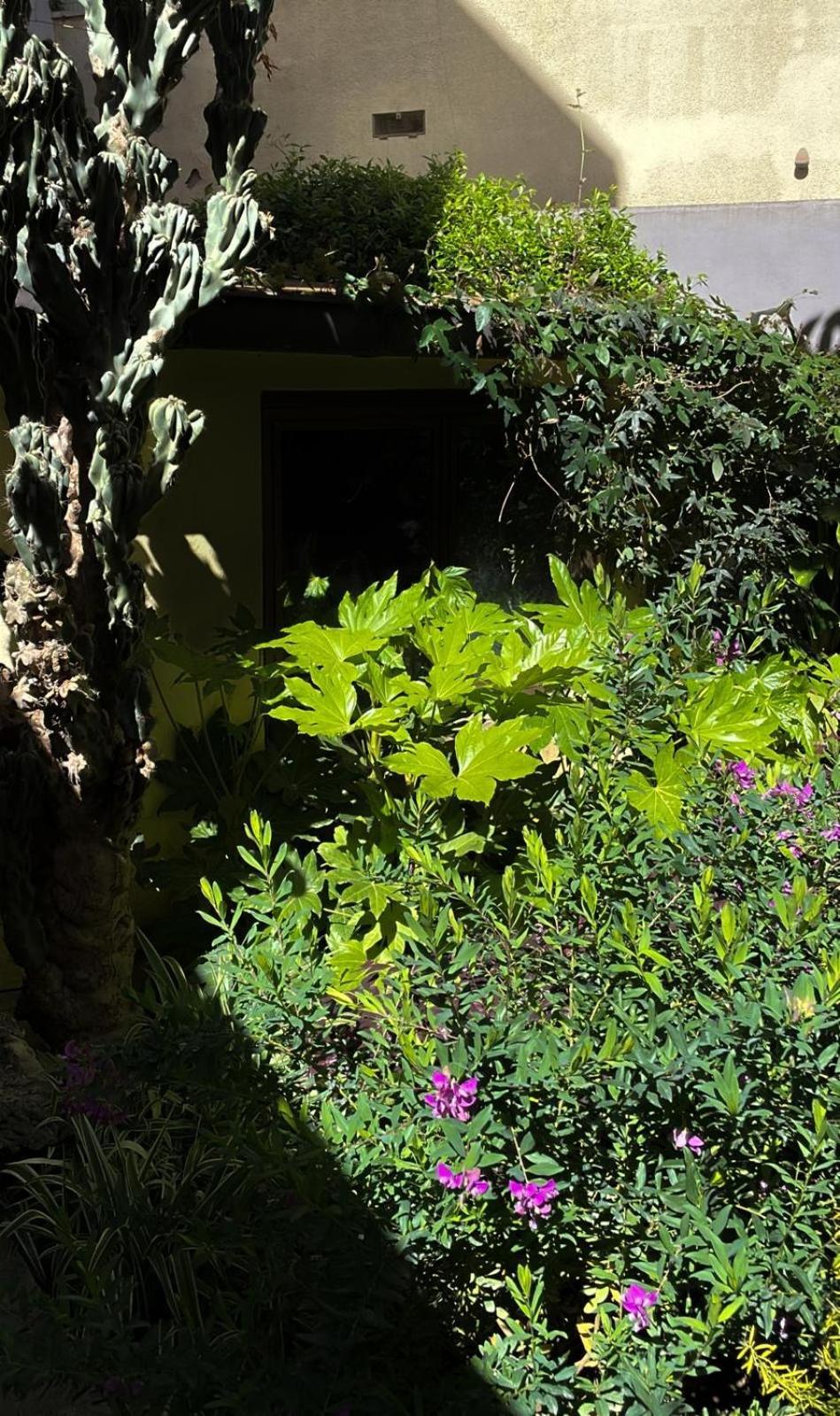 Loquat House Nel Giardino Segreto In Zona Vaticano Ρώμη Εξωτερικό φωτογραφία