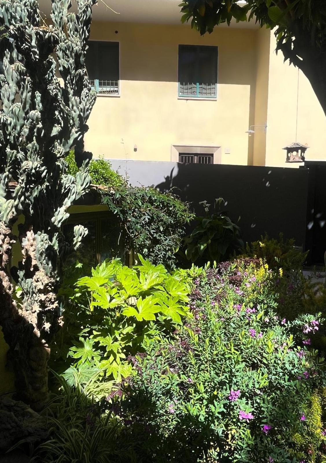 Loquat House Nel Giardino Segreto In Zona Vaticano Ρώμη Εξωτερικό φωτογραφία